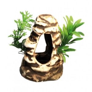 AQN N-30004 JASKINIA MAŁA 9x7cm opakowanie folia b sklep akwarystyczny śląsk