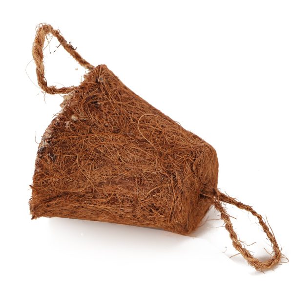 ALEGIA DZWONEK KOKOSOWY 250G sklep akwarystyczny / terrarystyczny