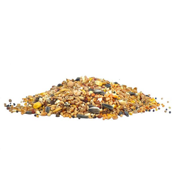 Alegia - karma dla ptaków dzikich 2kg sklep premium dla akwarystów