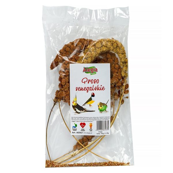 Alegia- proso senegalskie 80g sklep akwarystyczny śląsk