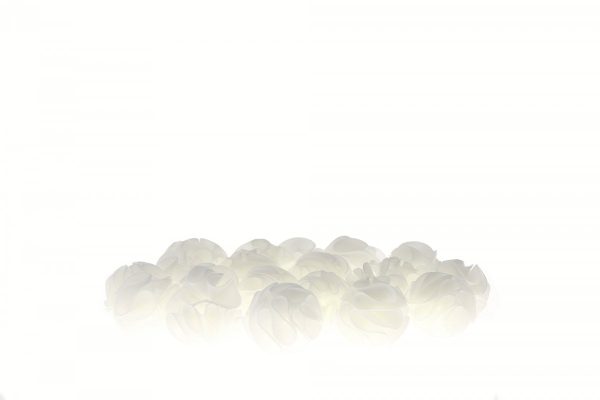 Baby Shrimp Shelters Biały 20 szt