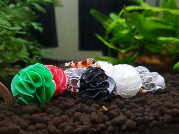 Baby Shrimp Shelters Czerwony 20 szt sklep premium dla akwarystów