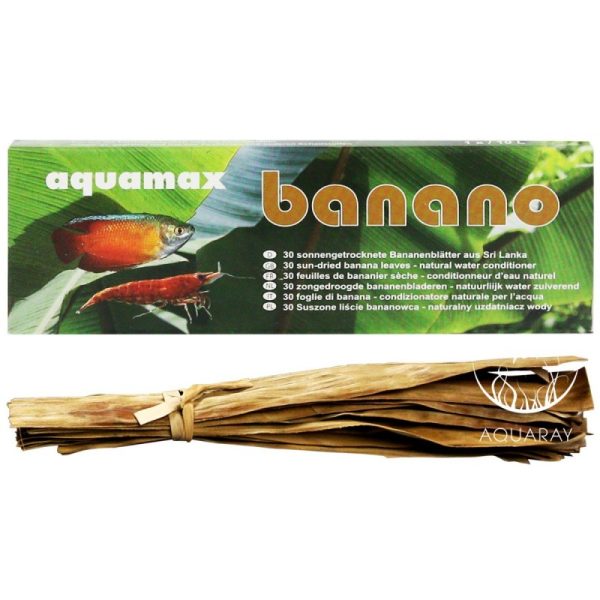 sklep akwarystyczny - Banano 30szt (034)