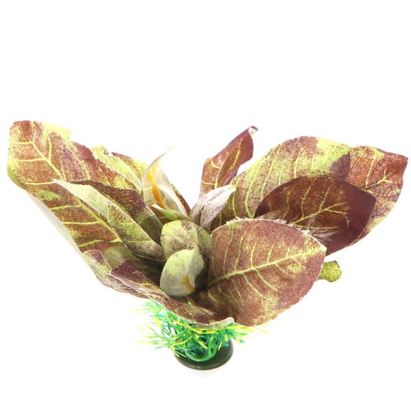 Bello Plant - Plum in November - roślina M do obrazów 3D sklep premium dla akwarystów