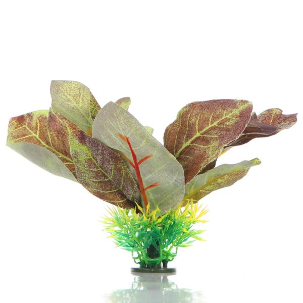 BELLO PLANT AS-F2016 sklep akwarystyczny / terrarystyczny