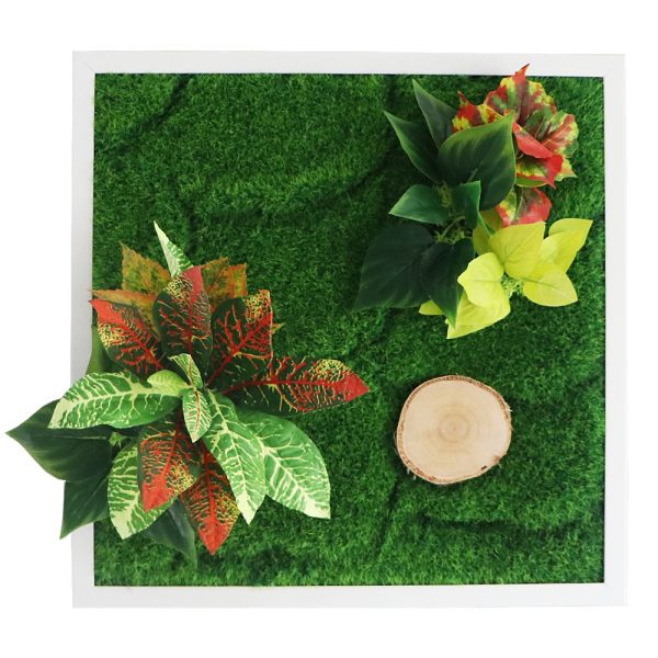 Akwarium / terrarium / Animals