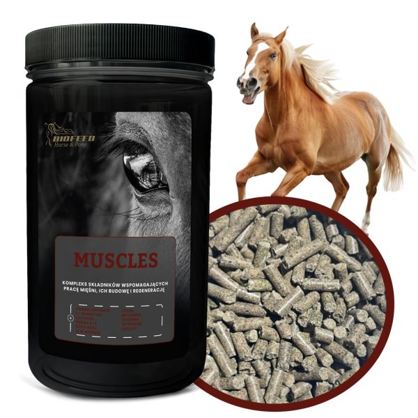 Biofeed Horse&Pony Muscles - granulat dla konia na mięśnie 1000g sklep premium dla akwarystów