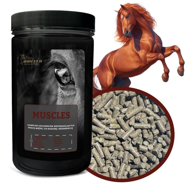 MUSCLES 1000g sklep akwarystyczny / terrarystyczny