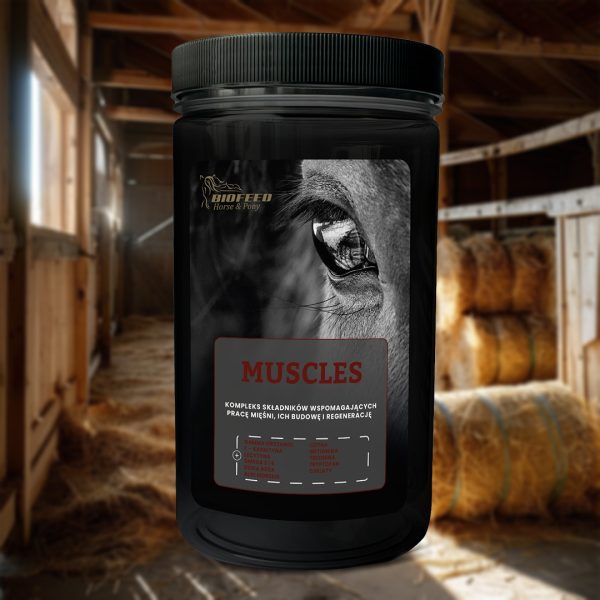 MUSCLES 1000g
