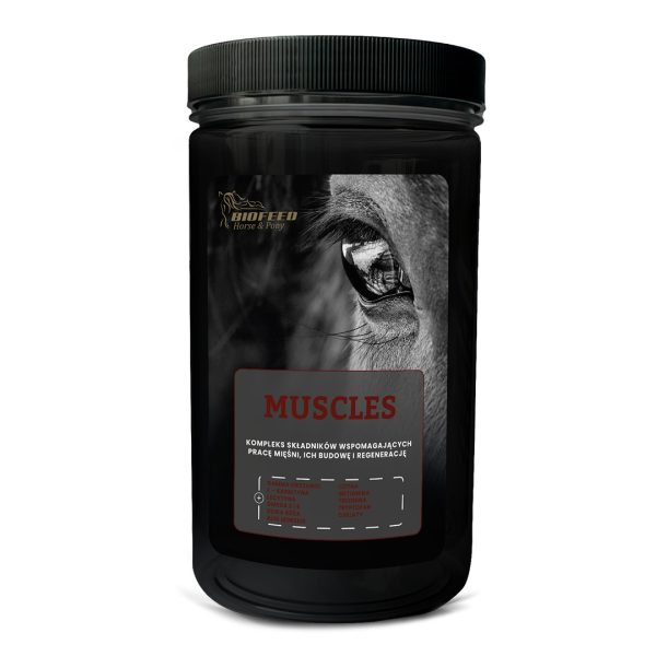 Biofeed Horse&Pony Muscles - granulat dla konia na mięśnie 1000g sklep akwarystyczny śląsk