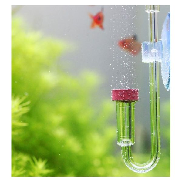 Chihiros Nano CO2 Diffuser S - dyfuzor CO2 akrylowy sklep premium dla akwarystów
