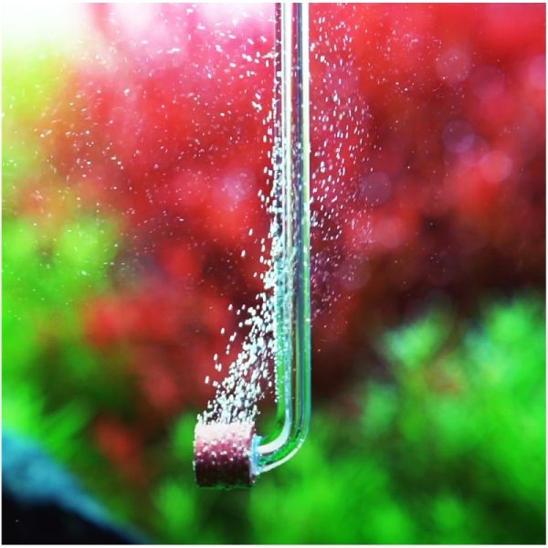 Chihiros Nano CO2 Diffuser Tiny - dyfuzor CO2 akrylowy sklep premium dla akwarystów