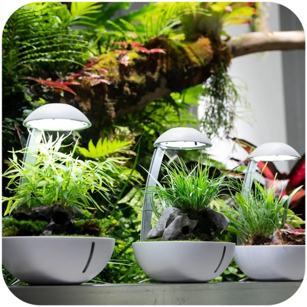 Chihiros Tiny Terrarium Egg - terrarium do hodowli roślin i gadów sklep premium dla akwarystów