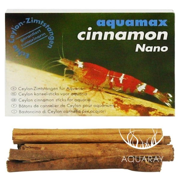 Cinnamon nano (Cynamon) (015)