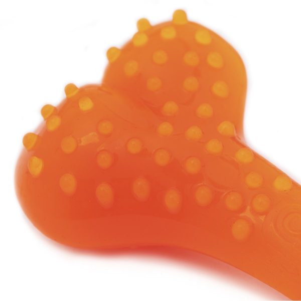 5cm Pomarańczowa sklep akwarystyczny śląsk
