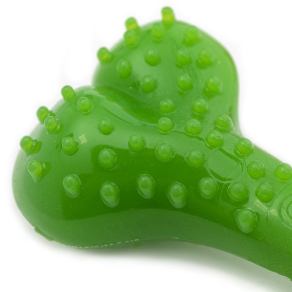 5cm Zielona sklep akwarystyczny śląsk
