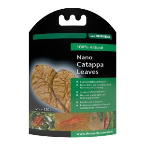 DENNERLE liście migdałów morskich Liście Nano Catappa