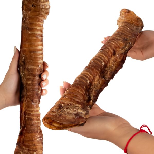 Dogario Bonni Beef Throat XXL - chrupki gryzak 40cm - 50cm sklep premium dla akwarystów