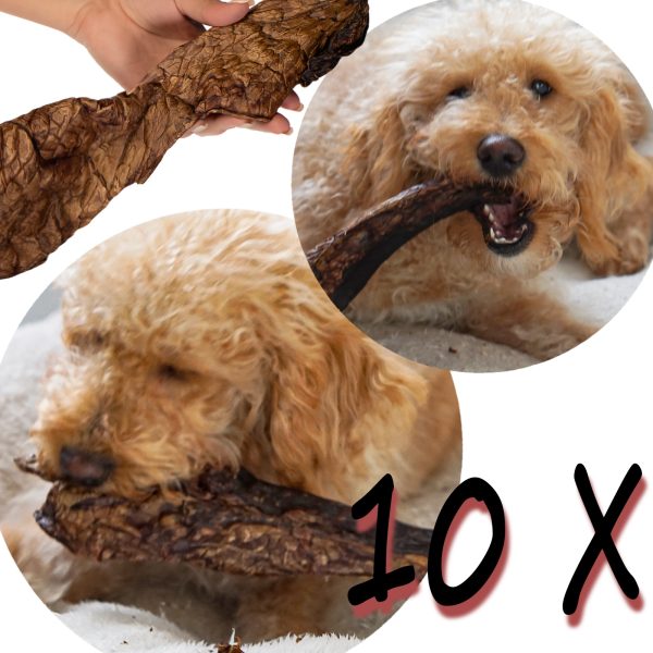 Dogario Bonni Smooth Meat XXL - mięso wołowe x10szt sklep premium dla akwarystów