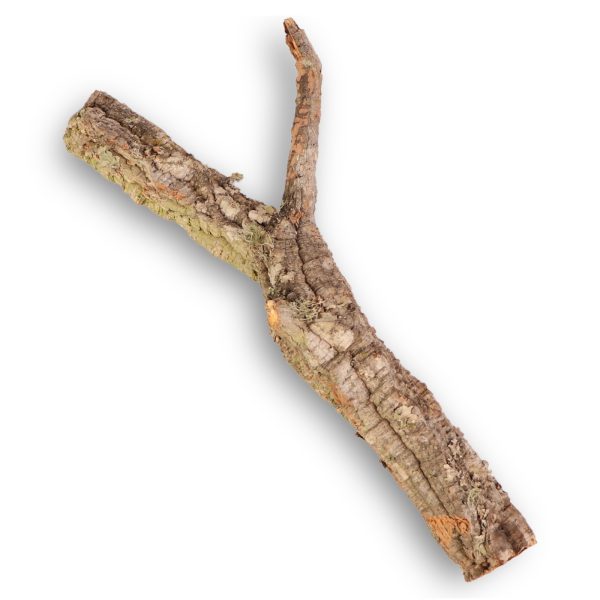 Drzewko z Dębu korkowego 40cm sklep premium dla akwarystów