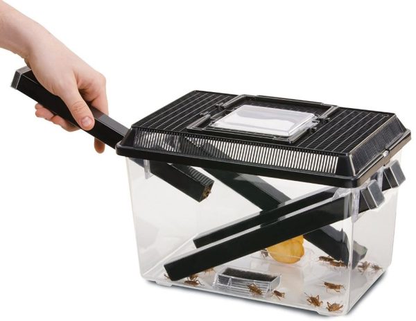 EXO TERRA Cricket Pen L Terrarium na karmówkę (30x20