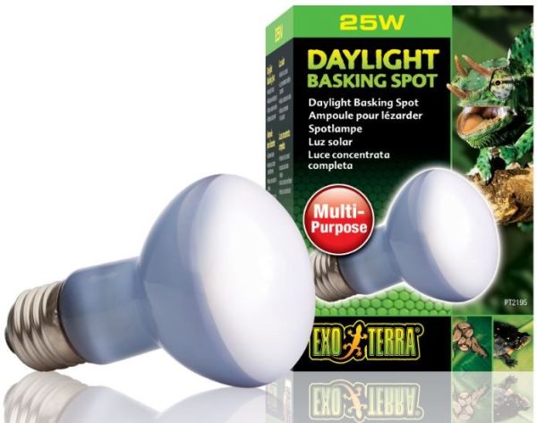 EXO TERRA Daylight 25W (żarówka grzewcza neodymowa) sklep akwarystyczny śląsk