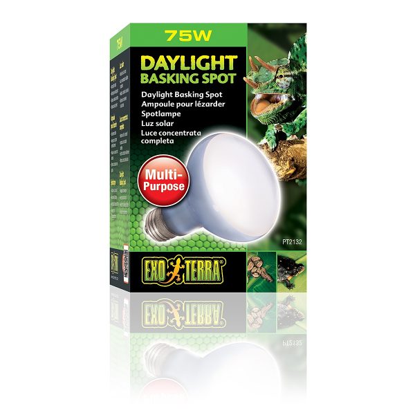 EXO TERRA Daylight Basking Spot 75W (żarówka grzewcza neodymowa) sklep premium dla akwarystów