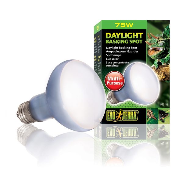 EXO TERRA Daylight Basking Spot 75W (żarówka grzewcza neodymowa) sklep akwarystyczny śląsk