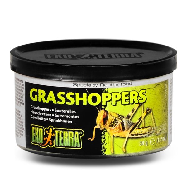 EXO TERRA Grasshoppers - pokarm w puszce konik polny sklep akwarystyczny śląsk