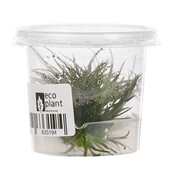 Akwarium / terrarium / Animals