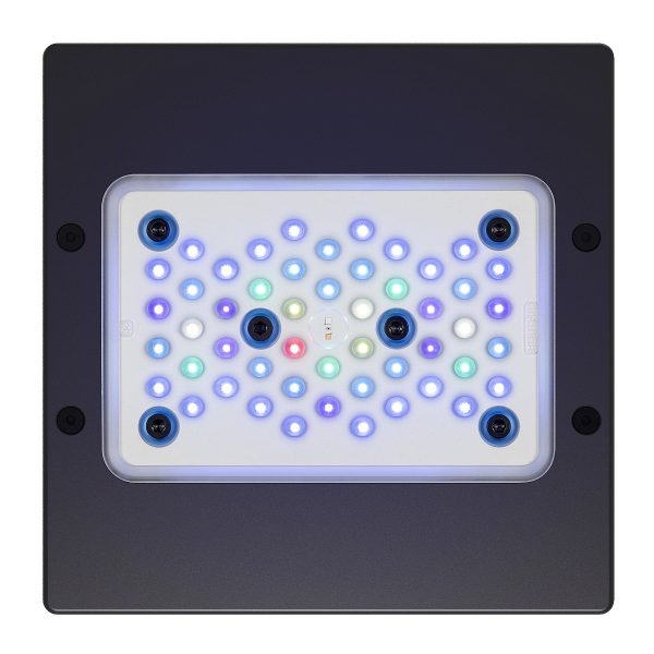 Ecotech Radion XR15 G6 Blue Led Light - oświetlenie LED do akwarium morskiego