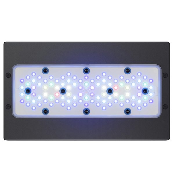 ECOTECH RADION XR30 G6 BLUE LED LIGHT sklep akwarystyczny / terrarystyczny