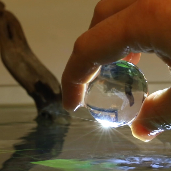 Evo Pure Aquarium Bomb sklep akwarystyczny / terrarystyczny
