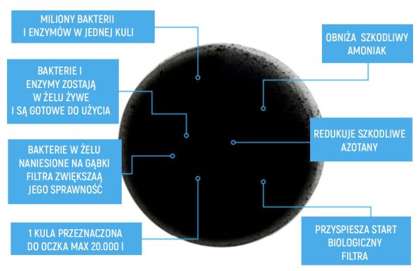 Evolution Aqua PURE Pond Bomb - bakterie do oczka sklep premium dla akwarystów