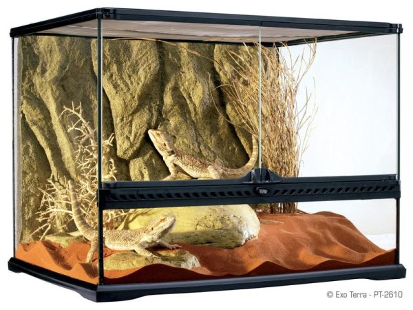 Exo Terra Terrarium Szklane Medium Tall 60x45x60 sklep akwarystyczny śląsk