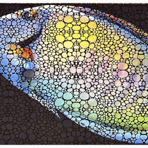 FLIPPER AQUARIUM MAT TANG 75X45CM sklep akwarystyczny śląsk