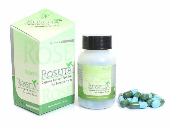 Ferka Rosetta 50 Kapsułek Rośliny Rozetowe