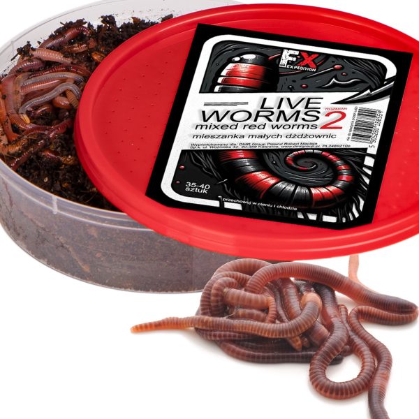 Fishing Expedition Live Worms No.2 - żywe czerwone robaki rozmiar 2 sklep premium dla akwarystów