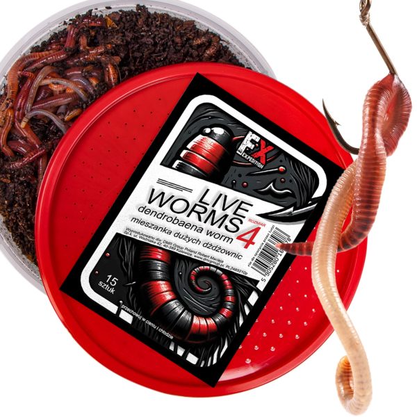 Fishing Expedition Live Worms No.4 - żywe robaki Dendrobena rozmiar 4 sklep akwarystyczny śląsk