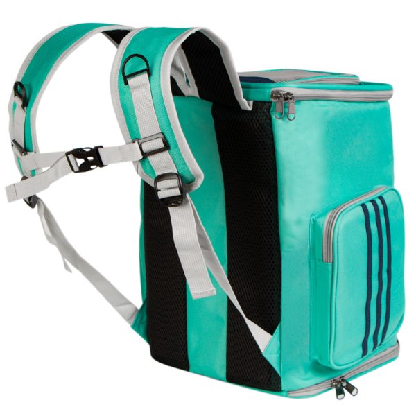 XXX FURREVER FRIENDS CATBOX TURQUOISE