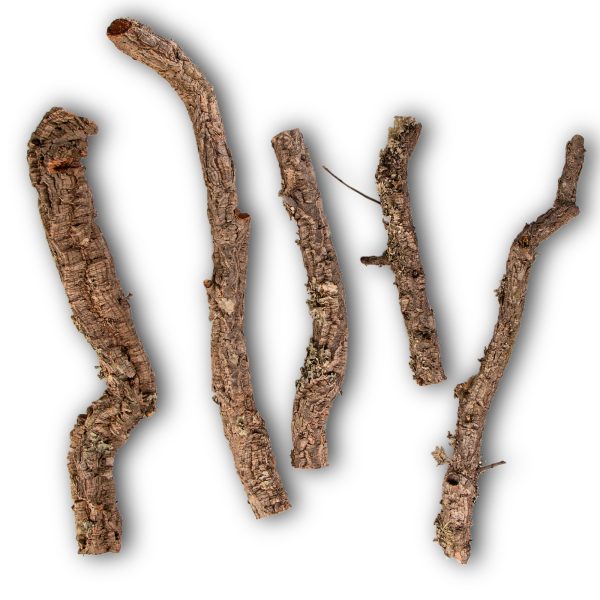 KORA DRZEWKO PROSTE 30CM sklep akwarystyczny / terrarystyczny