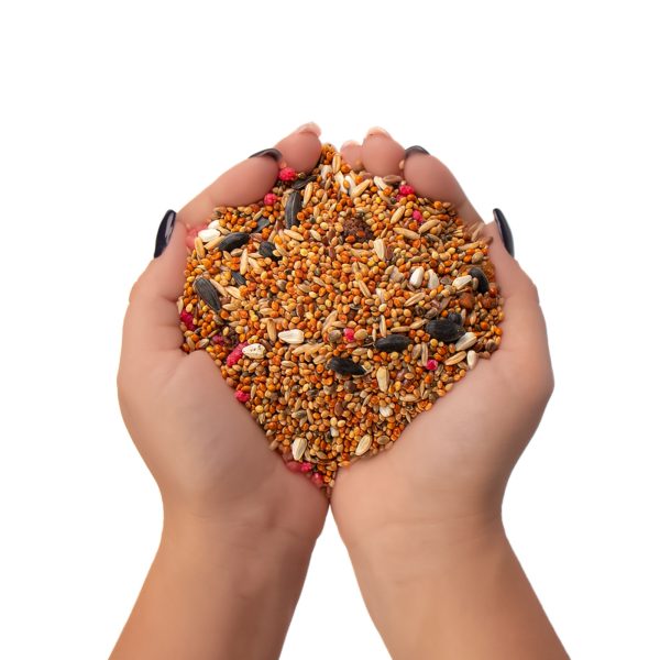 GAMI POKARM KARTON PAPUGA FALISTA 500G sklep akwarystyczny / terrarystyczny