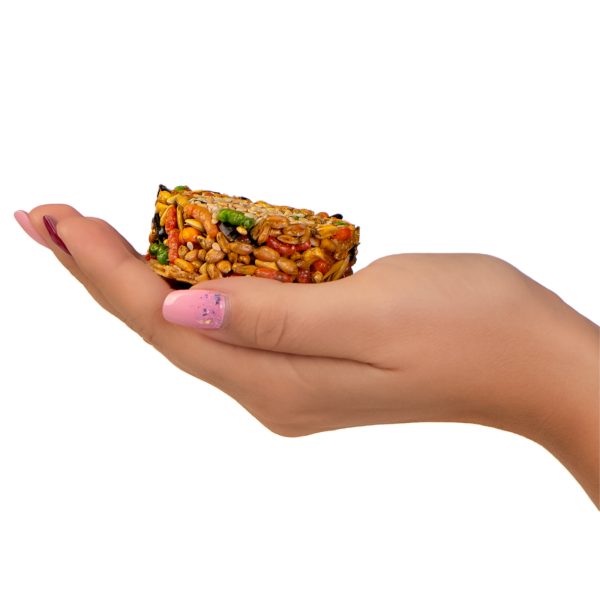 GAMI SMAKOSZKA SEZAM 1SZT sklep akwarystyczny / terrarystyczny