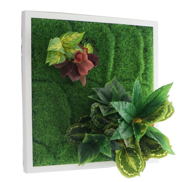 BELLO HOLDER APH