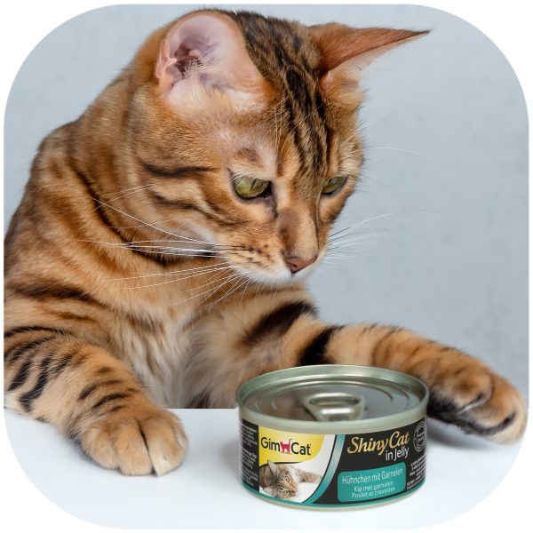 GimCat ShinyCat in Jelly - karma mięsna kurczak i krewetki 70g sklep premium dla akwarystów