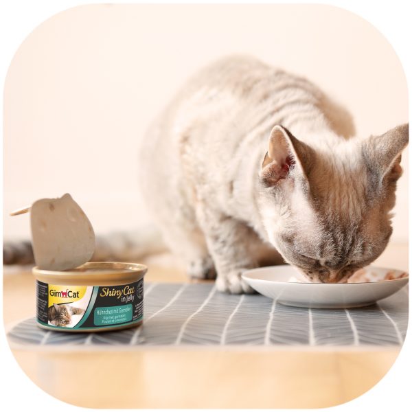 GIMCAT PUSZKA SHINYCAT HUNCHEN GARNELEN 70G sklep akwarystyczny / terrarystyczny