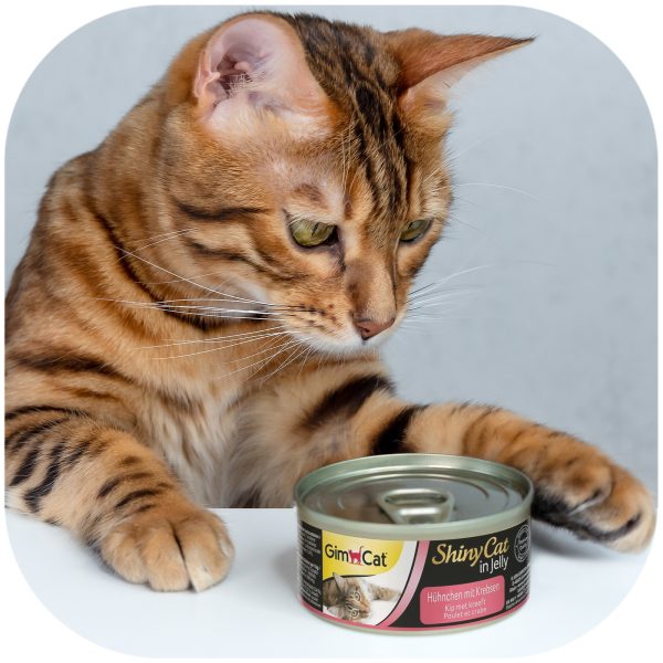 GimCat ShinyCat in Jelly - karma mięsna kurczak i raki 70g sklep premium dla akwarystów