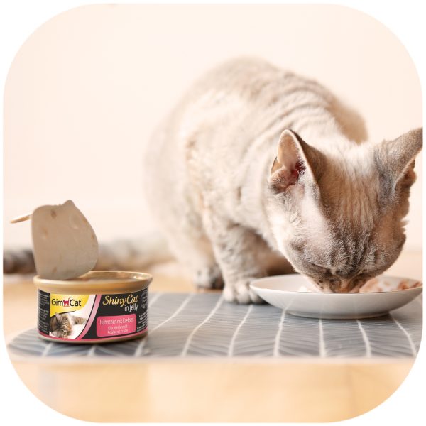 GIMCAT PUSZKA SHINYCAT HUNCHEN KREBSEN 70G sklep akwarystyczny / terrarystyczny