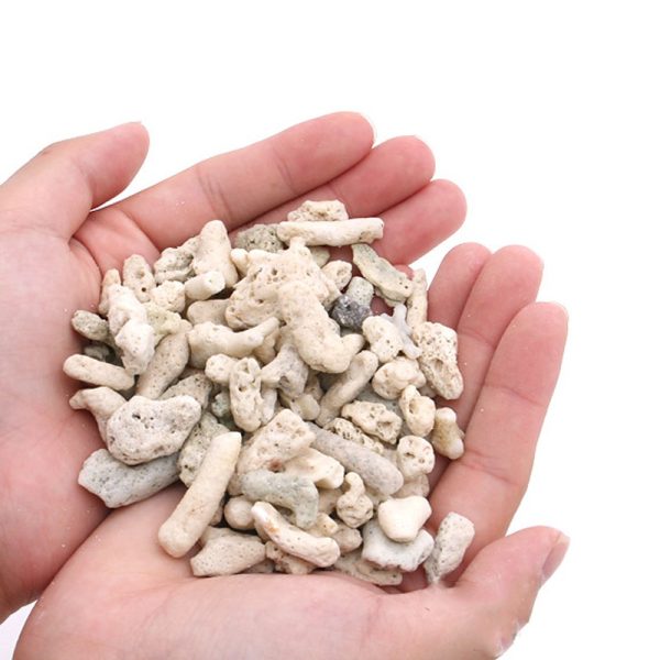 Grys koralowy 1 - 3 cm 5l sklep akwarystyczny śląsk