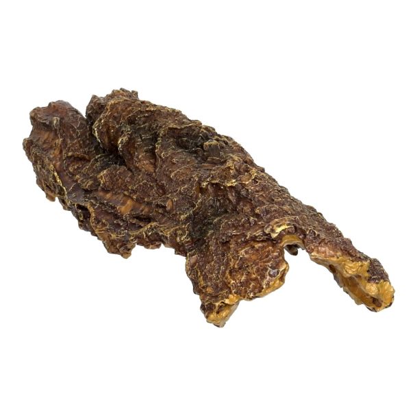 HOBBY Dekoracja do akwarium Bark Cave S 16 x 8 x 6 cm (41462) sklep akwarystyczny śląsk